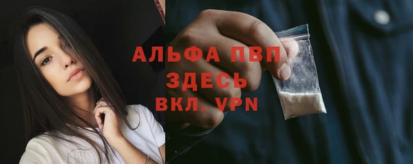 a pvp Новозыбков