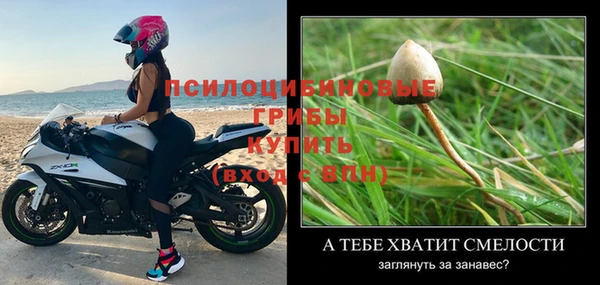 метадон Новодвинск