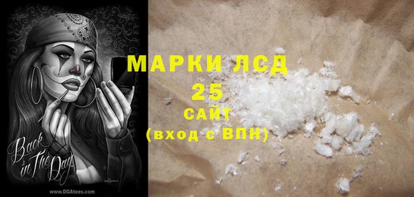 ECSTASY Чекалин