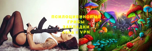 a pvp Новозыбков