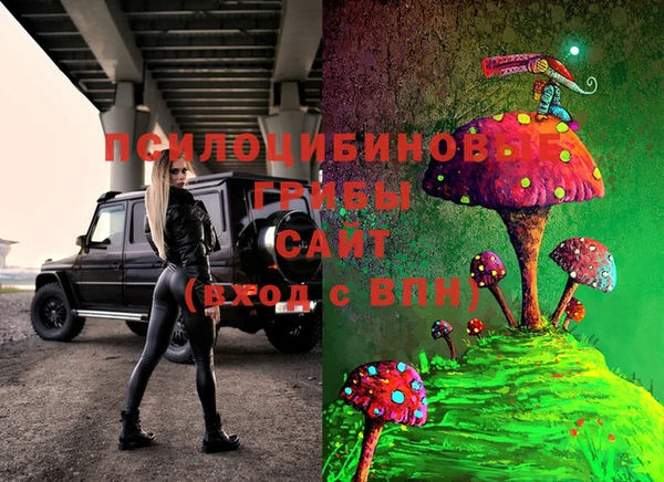 метадон Новодвинск