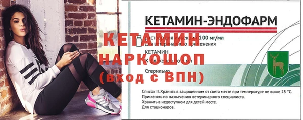a pvp Новозыбков
