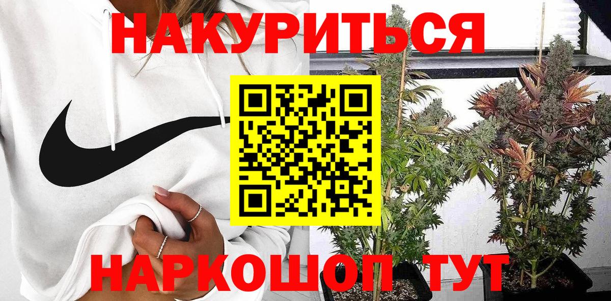 Бошки марихуана сатива Коммунар